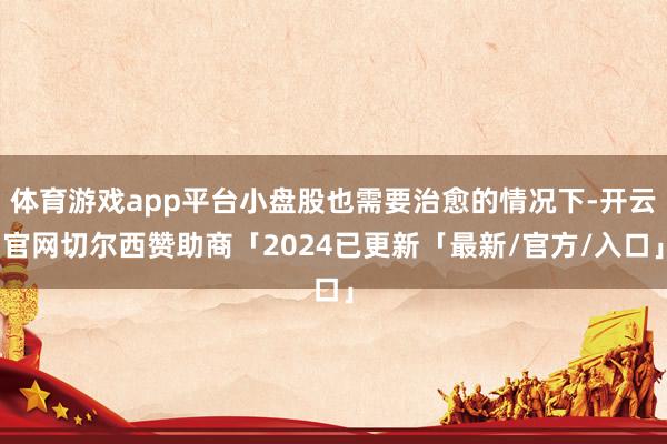 体育游戏app平台小盘股也需要治愈的情况下-开云官网切尔西赞助商「2024已更新「最新/官方/入口」