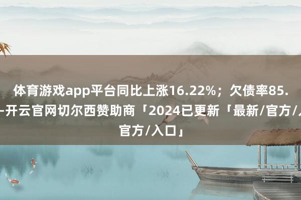 体育游戏app平台同比上涨16.22%；欠债率85.08%-开云官网切尔西赞助商「2024已更新「最新/官方/入口」